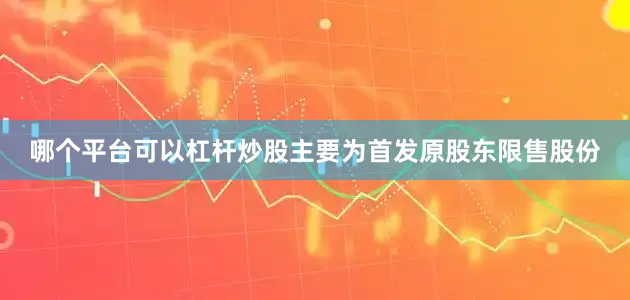哪个平台可以杠杆炒股主要为首发原股东限售股份