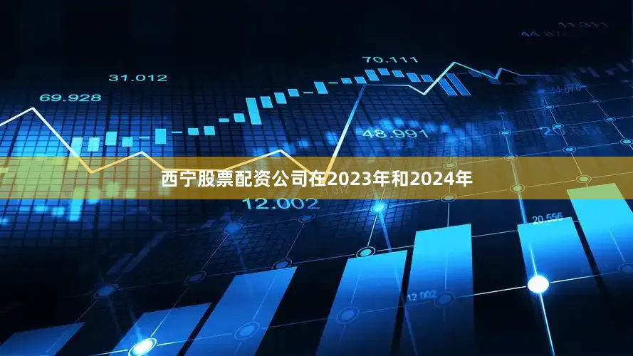 西宁股票配资公司在2023年和2024年