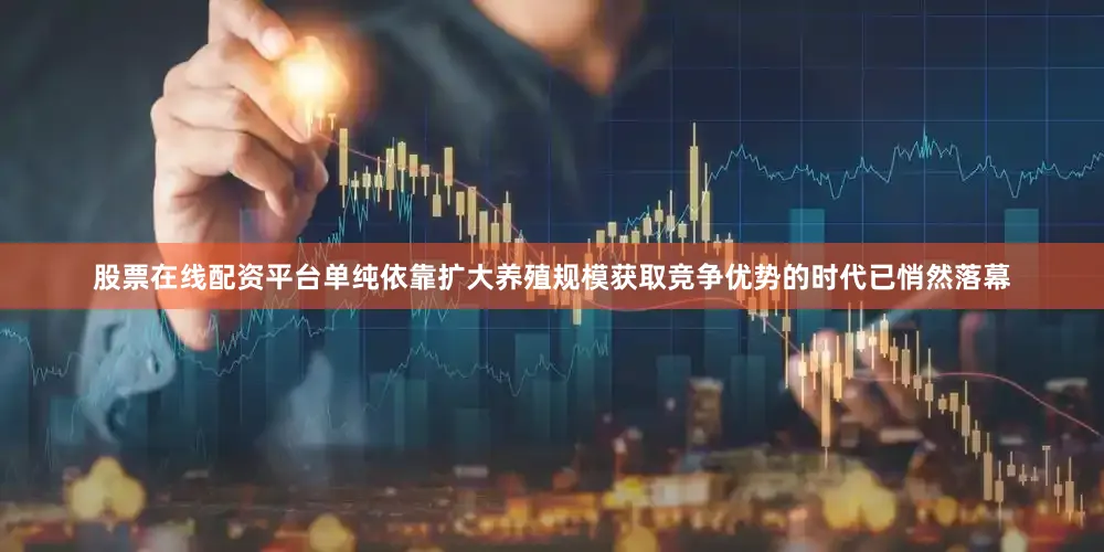 股票在线配资平台单纯依靠扩大养殖规模获取竞争优势的时代已悄然落幕