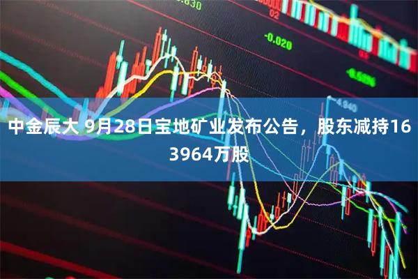 中金辰大 9月28日宝地矿业发布公告，股东减持163964万股